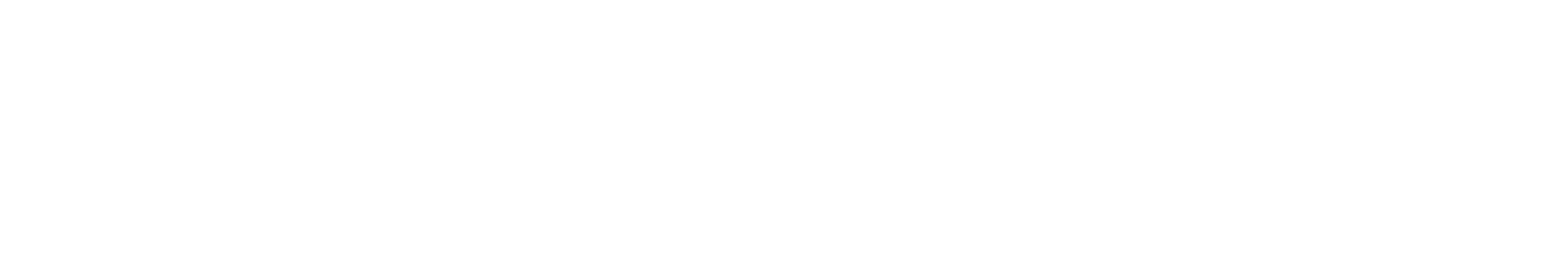 Skwirls Business & Tech